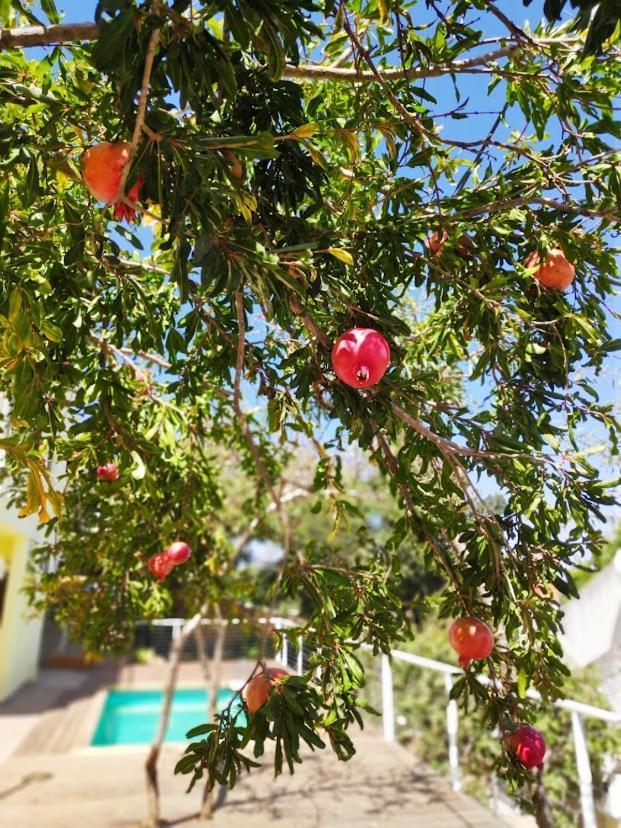 Ferienwohnung היחידה - Hayehida Ma'alot-Tarshiha Exterior foto